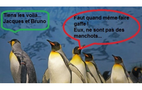 3D à Rouen