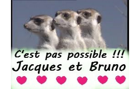 Tir et AG