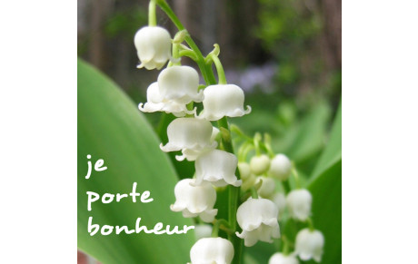 1er mai